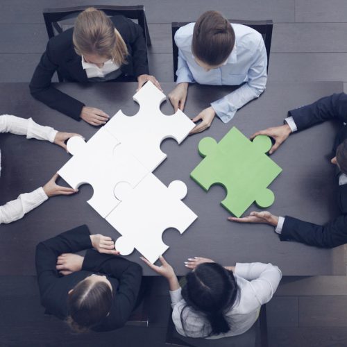 Data Science & Analytics Capability Building