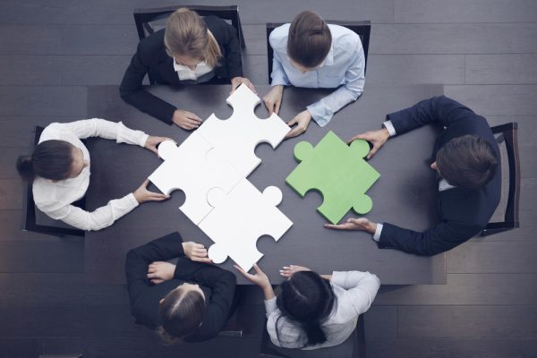Data Science & Analytics Capability Building